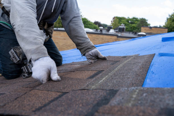 Quick and Trustworthy Emergency Roof Repair Services in Pleasanton, TX