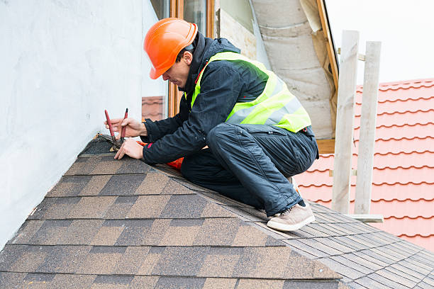 Best Roof Gutter Cleaning  in Pleasanton, TX